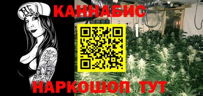 СК Моздок