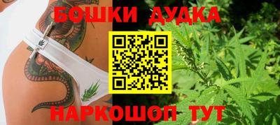 PSILOCYBIN Можга