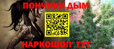 PSILOCYBIN Можга