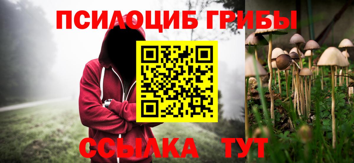 Галлюциногенные грибы GOLDEN TEACHER Карасук