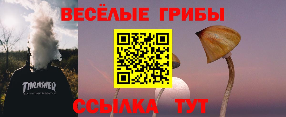 Псилоцибиновые грибы Psilocybe  Вход с VPN  Карасук 